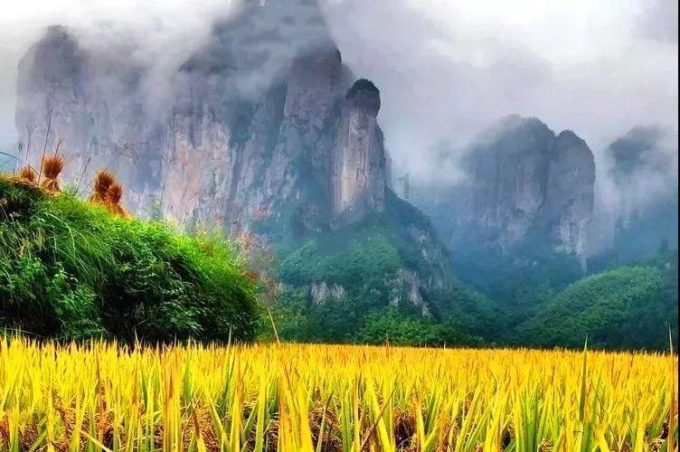 经典扫雷大挑战